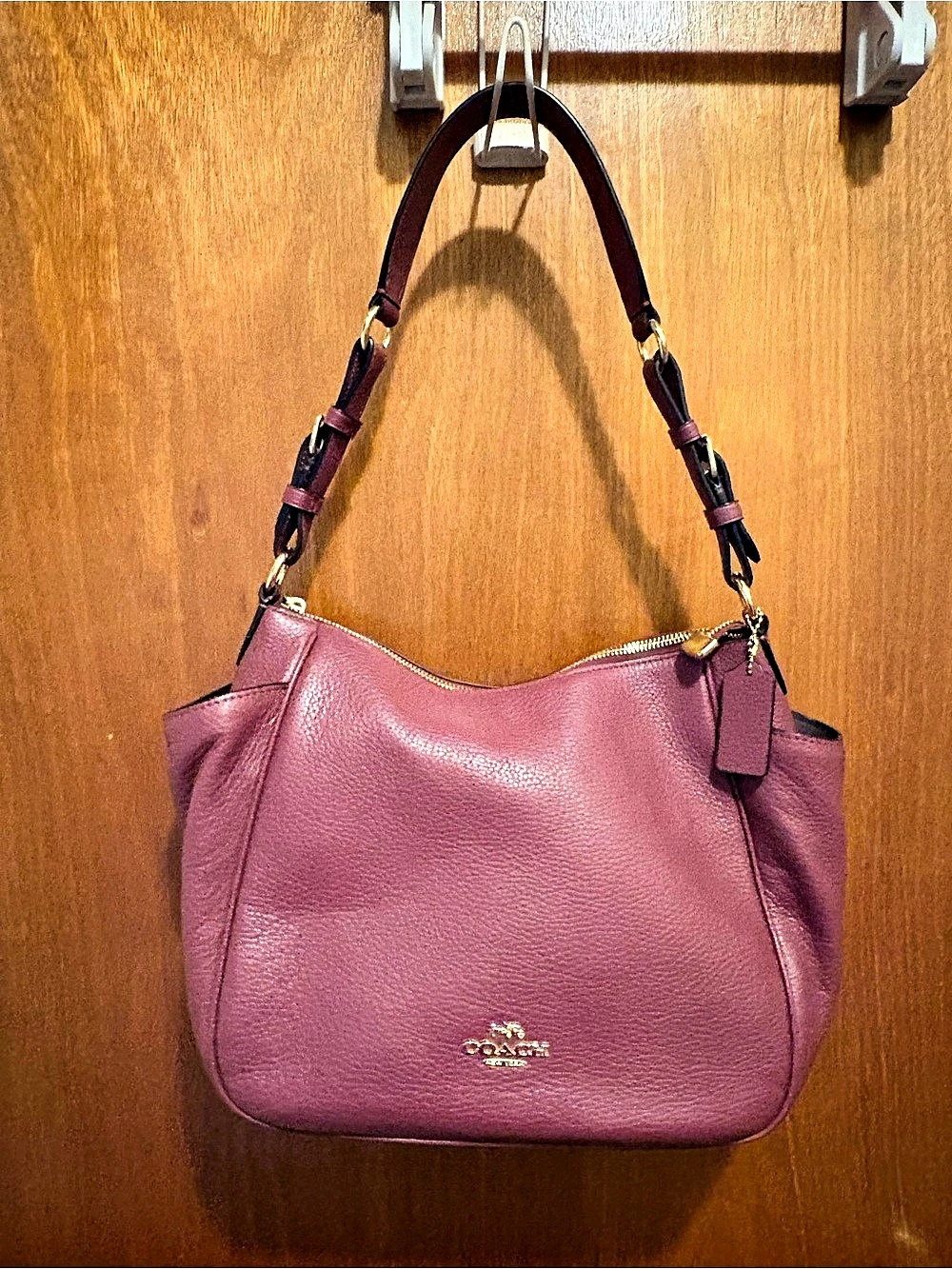 Coach Erin Shoulder Bag Leather Hobo in Purple